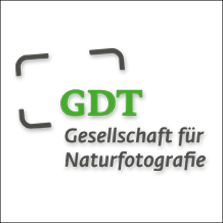 GDT